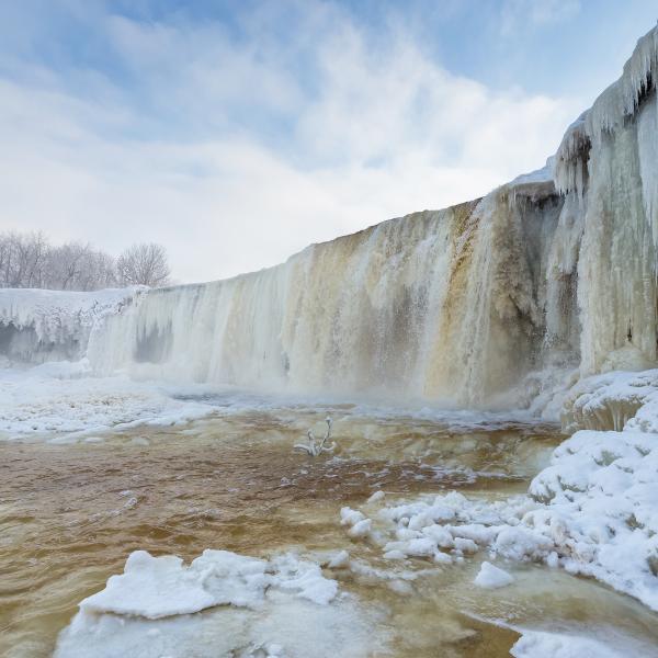 Free places in Estonia that help new residents truly get to know the country