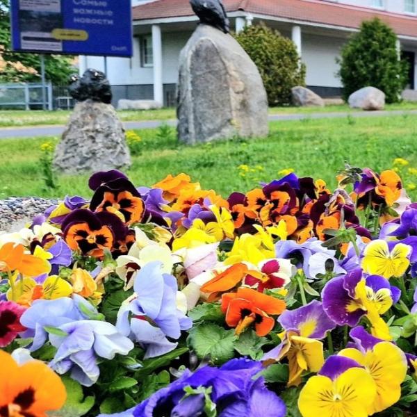 Integratsiooni Sihtasutus laiendab eesti keele harjutamise võimalusi Maardus